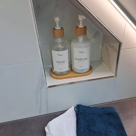 Bel Appartement, Sélestat Buitenkant foto