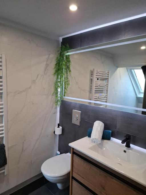 Bel Appartement,